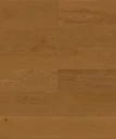 Dąb Vitaria Origin